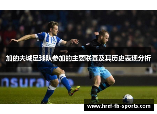加的夫城足球队参加的主要联赛及其历史表现分析